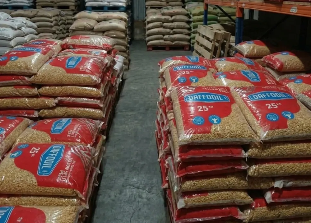 Lentils